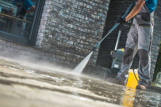 Best Animal Enclosure Cleaning  in Langley Park, MD